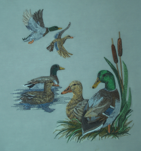 Ducks