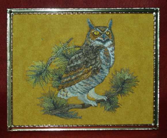 Owl in tree