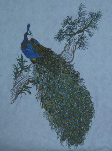Peacock in tree